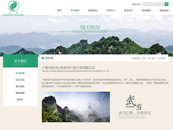 长沙设计类网站制作基本方案